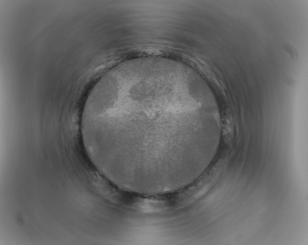 X0000113920466200910151443