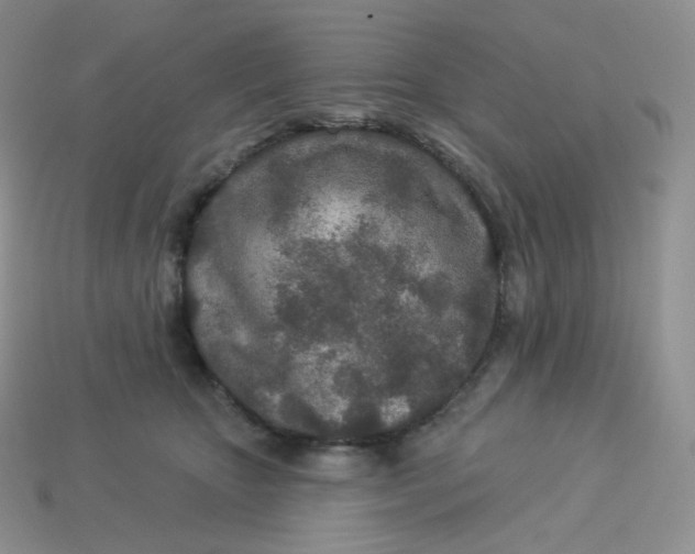X0000113920467200910151443