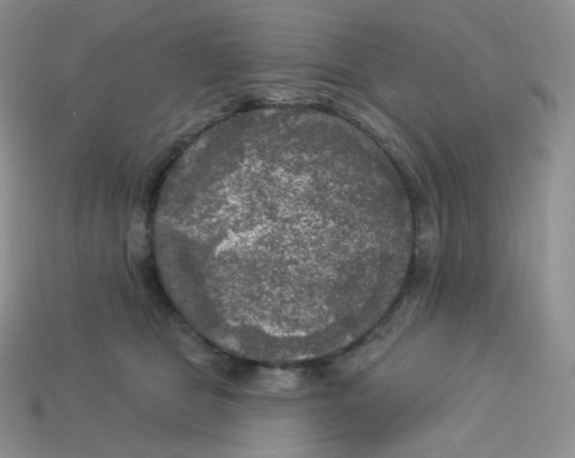 X0000113920469200910151443