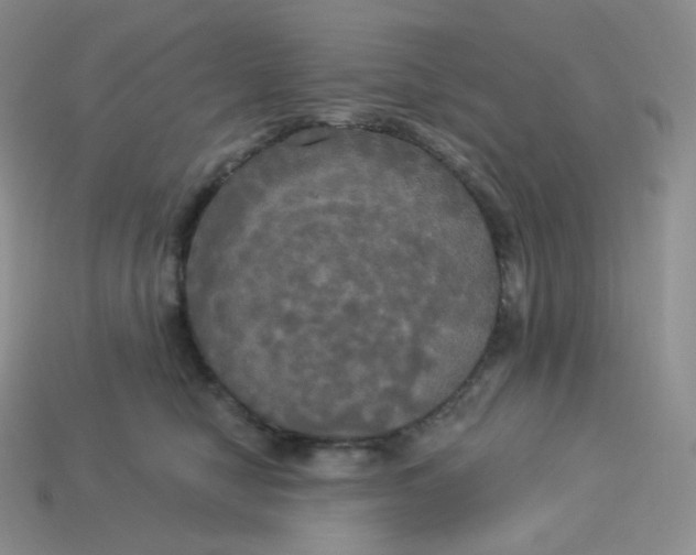 X0000113920470200910151443
