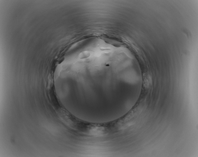 X0000113920471200910151443