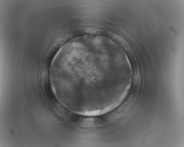 X0000113920473200910151443