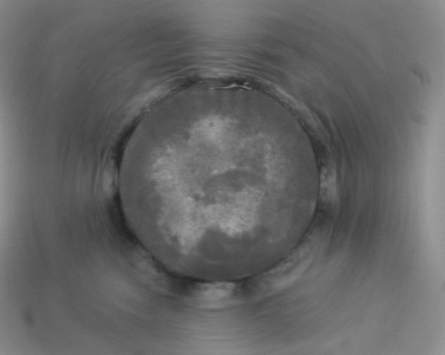 X0000113920474200910151443