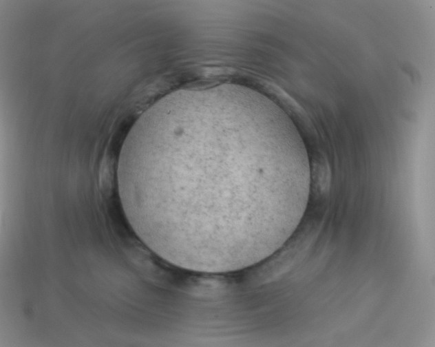 X0000113920475200910151443