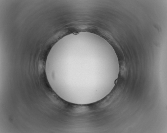 X0000113920476200910151443