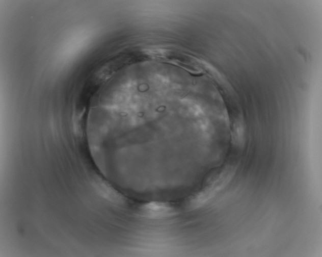 X0000113920477200910151443