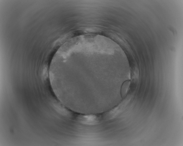 X0000113920478200910151443