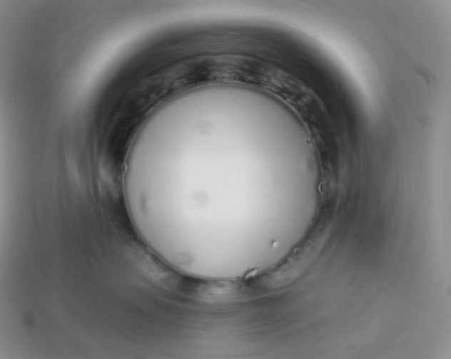 X0000113920479200910151443