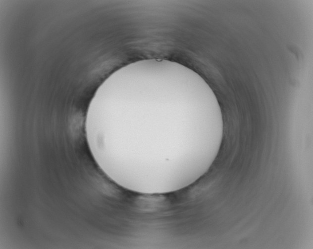 X0000113920480200910151443