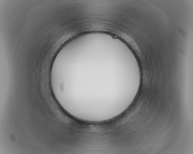 X0000113920481200910151442