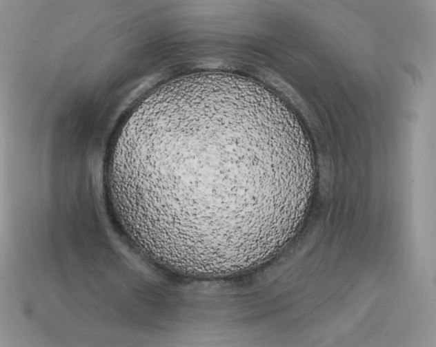 X0000113920482200910151442