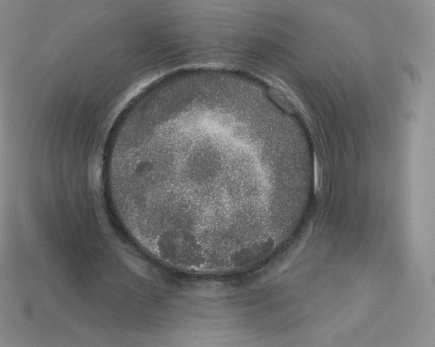 X0000113920483200910151442