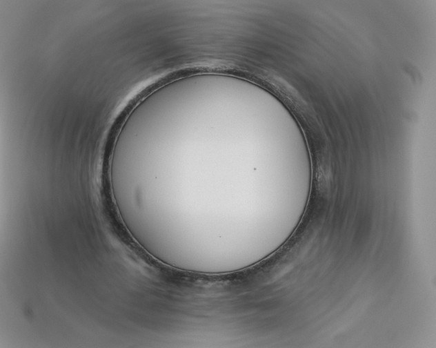 X0000113920484200910151442