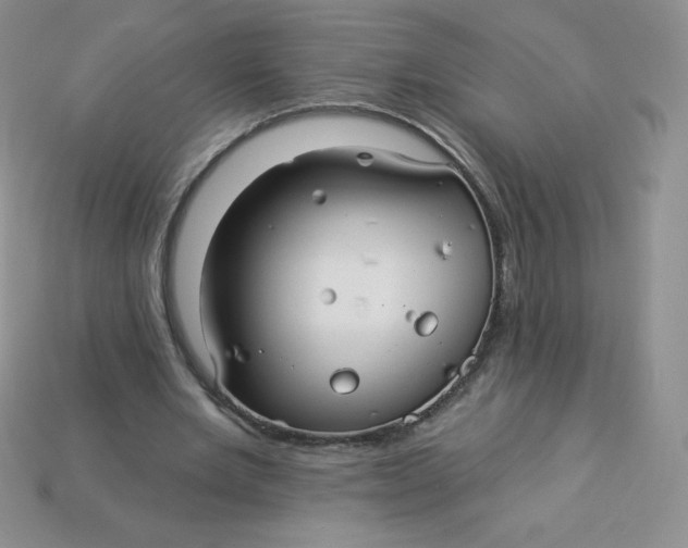 X0000113920485200910151442