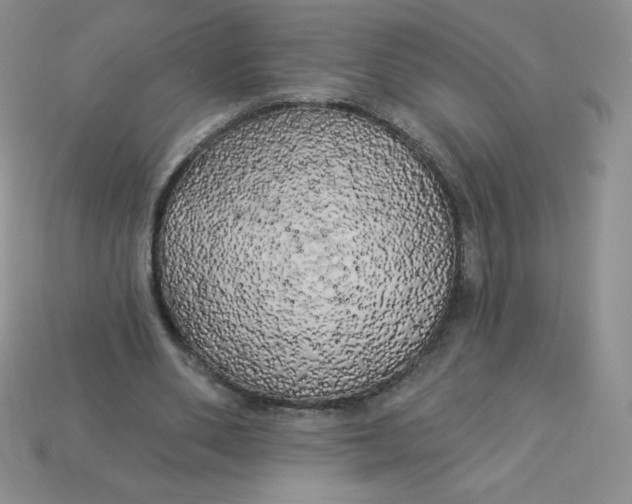 X0000113920486200910151442