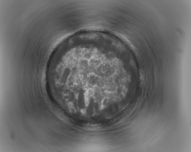 X0000113920487200910151442