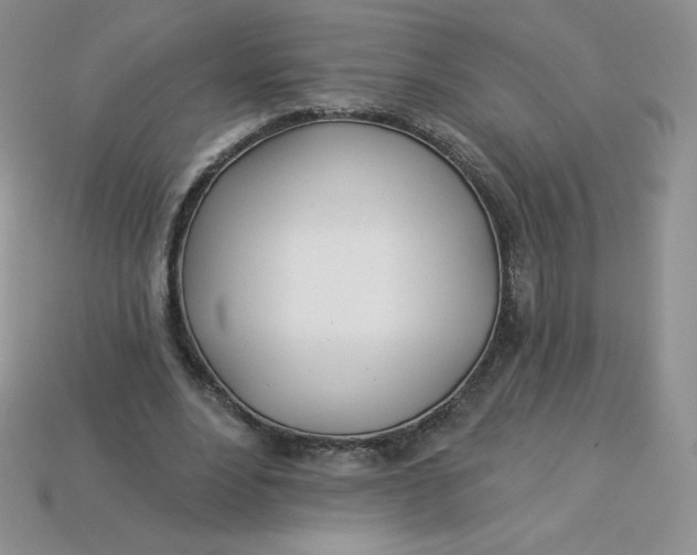 X0000113920488200910151442