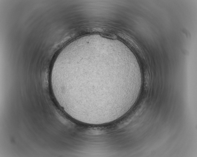 X0000113920489200910151442