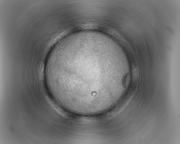 X0000113920490200910151442