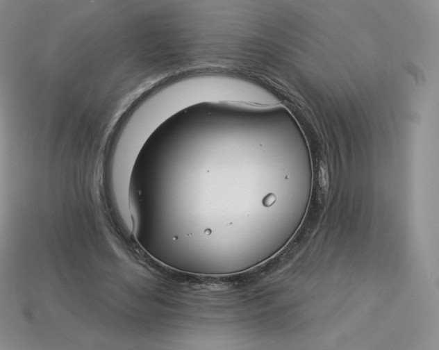 X0000113920492200910151442