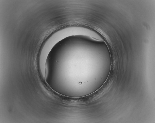 X0000113920493200910151442