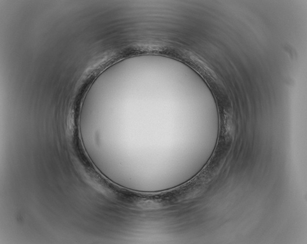 X0000113920494200910151442