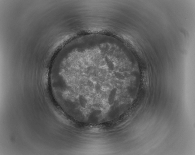 X0000113920495200910151442