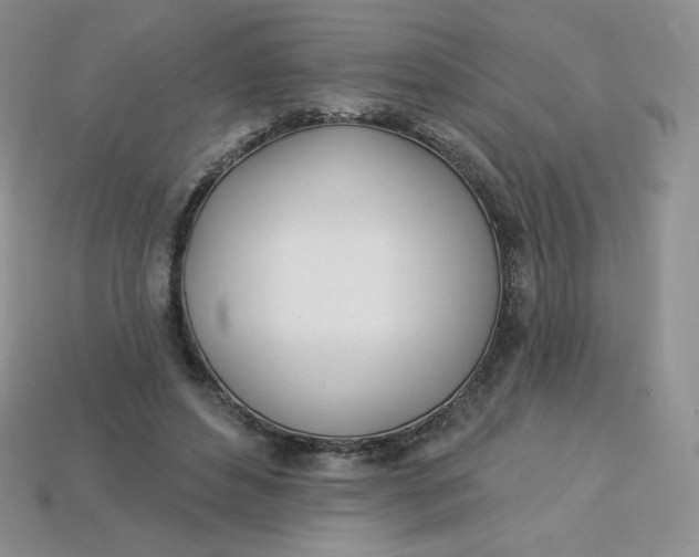 X0000113920496200910151442