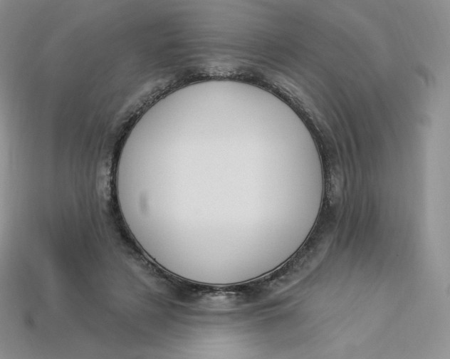 X0000113920497200910151442
