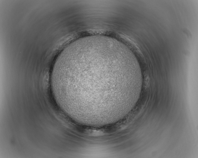 X0000113920498200910151442