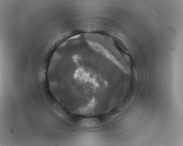 X0000113920499200910151442