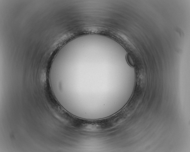 X0000113920500200910151442
