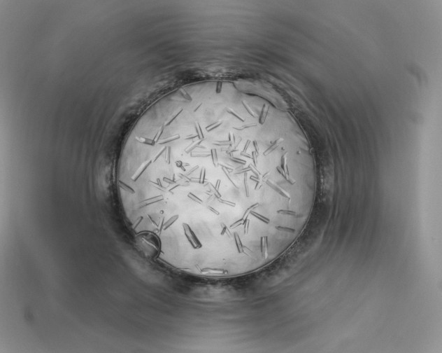X0000113920503200910151442