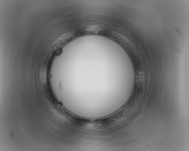 X0000113920504200910151442