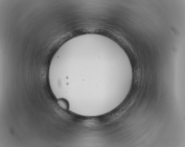 X0000113920505200910151442