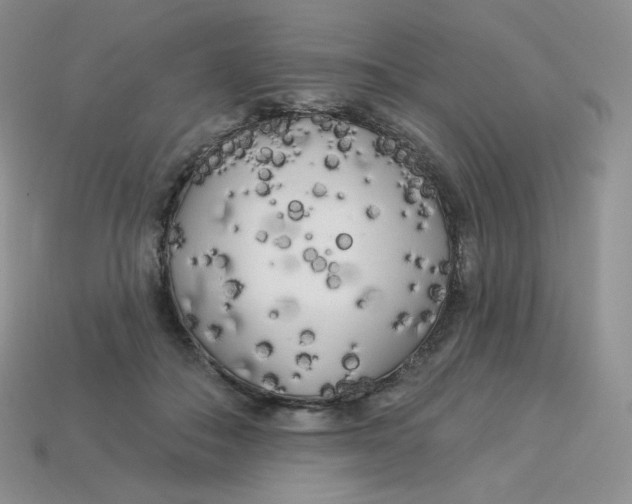 X0000113920506200910151442