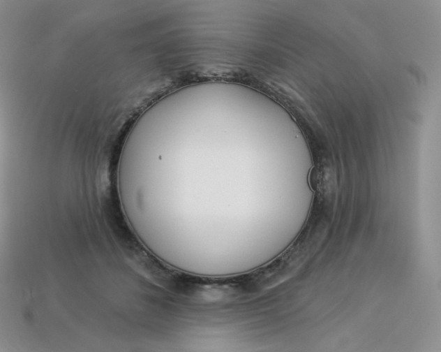 X0000113920508200910151442