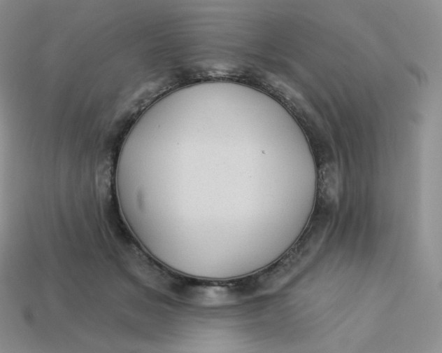 X0000113920509200910151442
