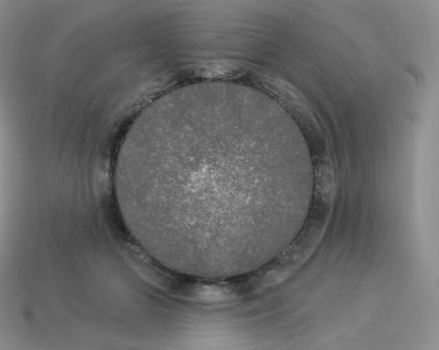 X0000113920510200910151442