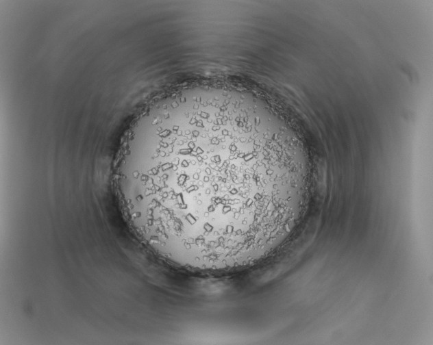 X0000113920511200910151442