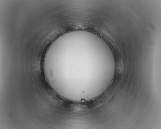 X0000113920512200910151442