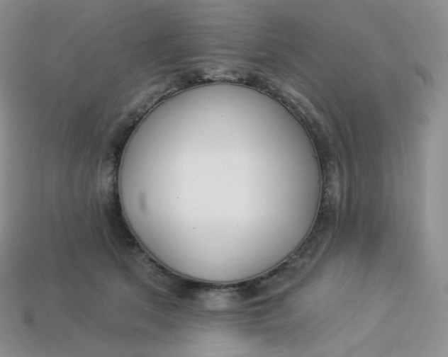 X0000113920513200910151442