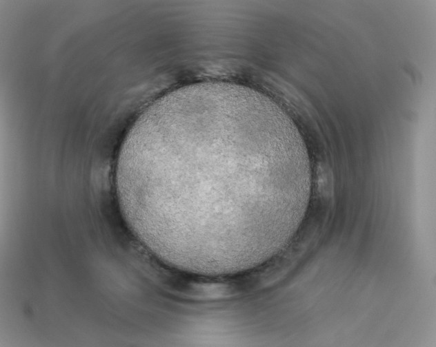 X0000113920514200910151442