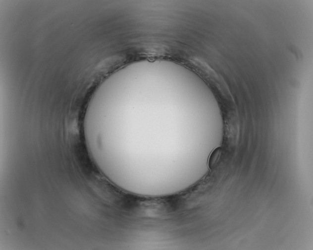 X0000113920516200910151442