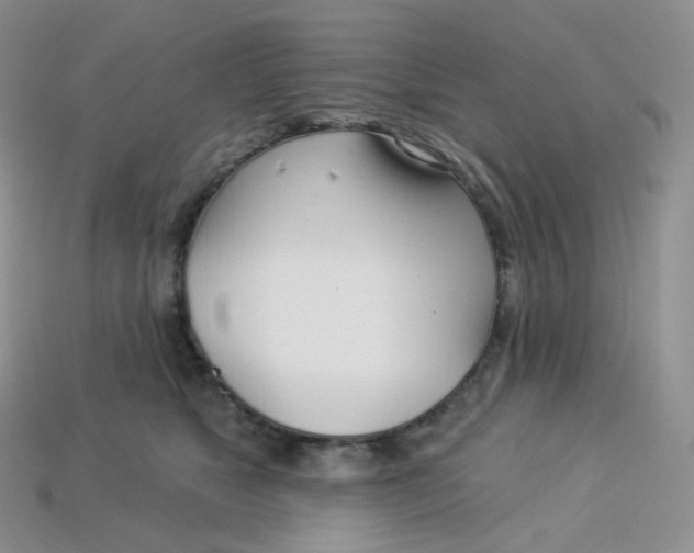X0000113920517200910151442