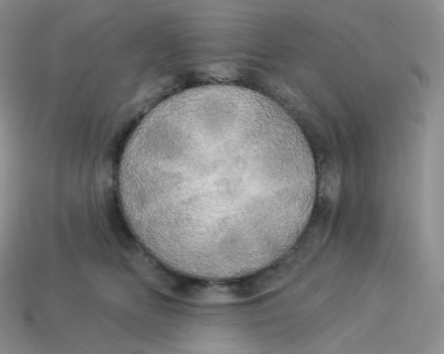 X0000113920518200910151442