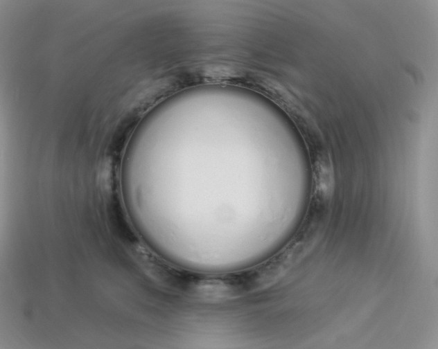 X0000113920519200910151442