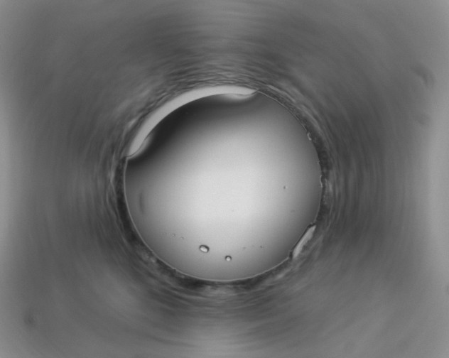 X0000113920520200910151442