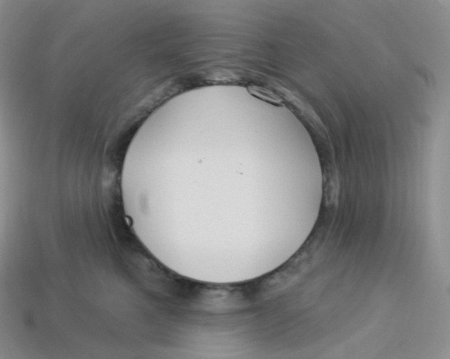 X0000113920521200910151442