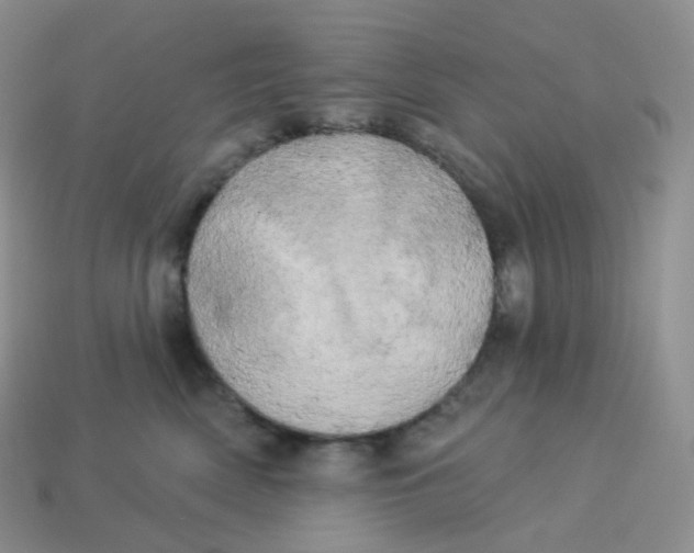 X0000113920522200910151442